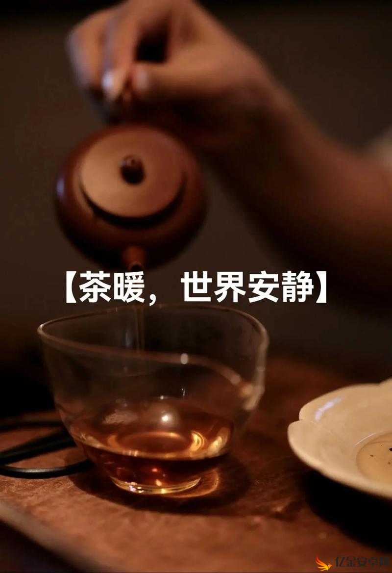 温茶 poH：品味生活中的宁静与惬意