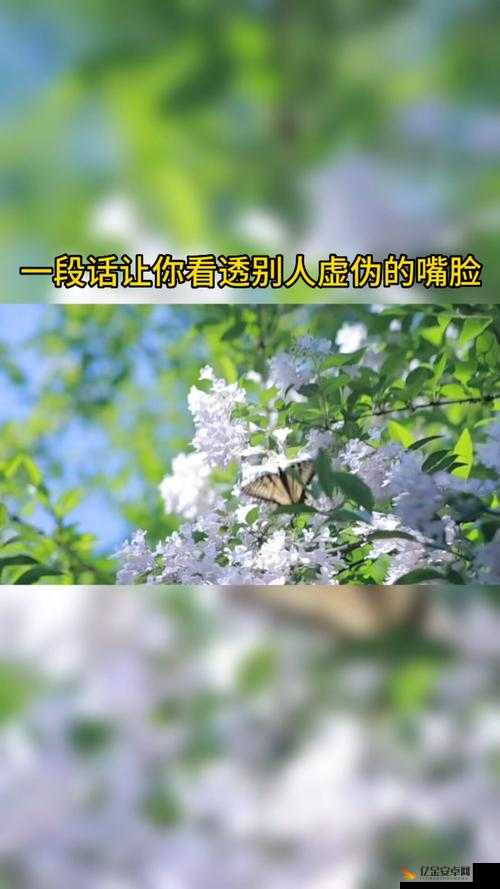 反差婊：人前一套背后一套的虚伪嘴脸剖析