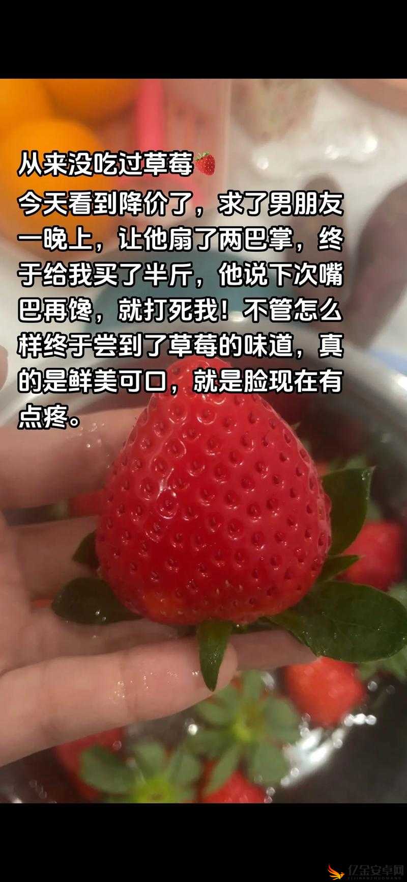 啊∽你tm别碰了我的草莓：一段关于草莓的纷争故事